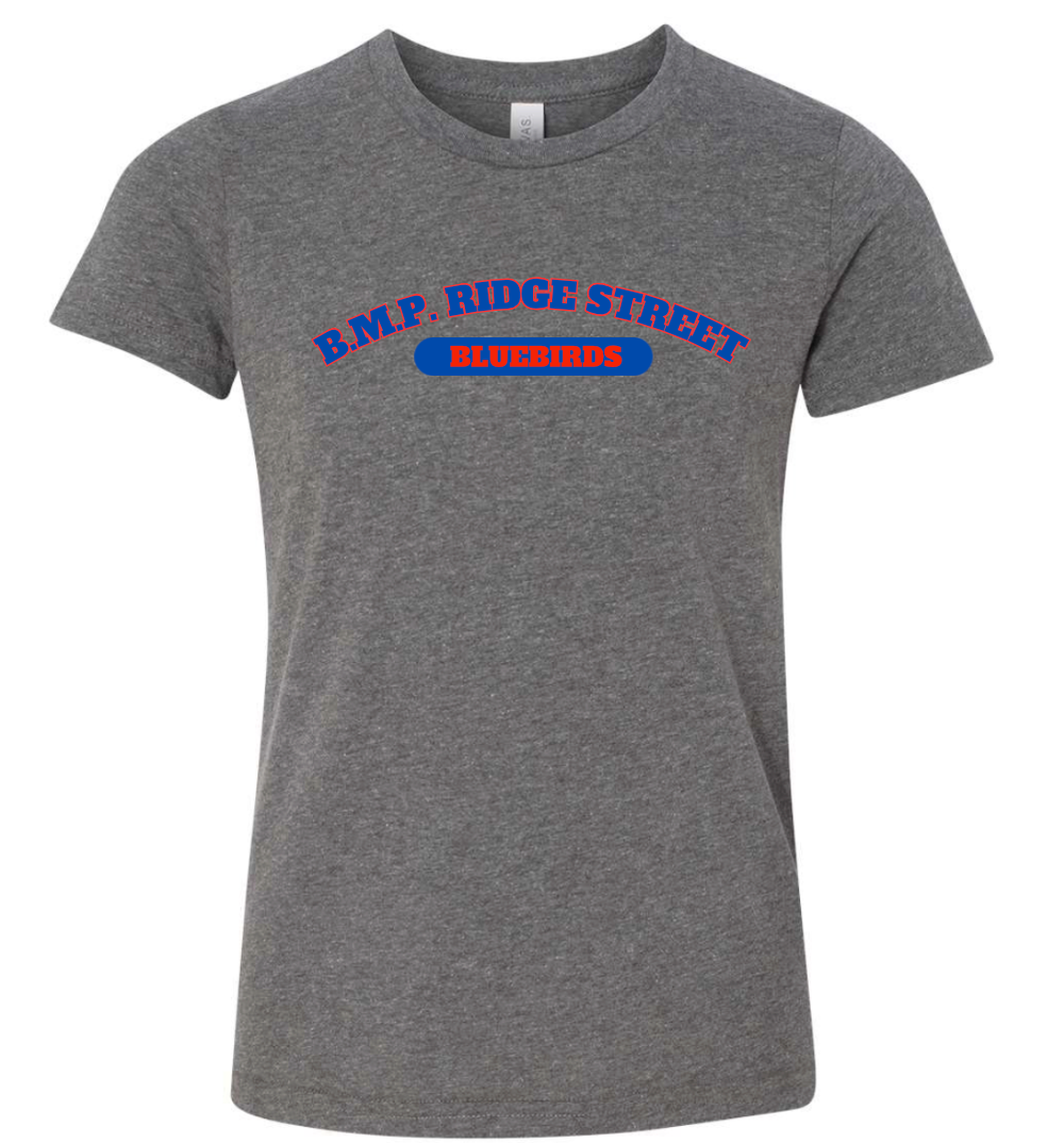B.M.P. RIDGE STREET  BLUEBIRDS GREY TSHIRT