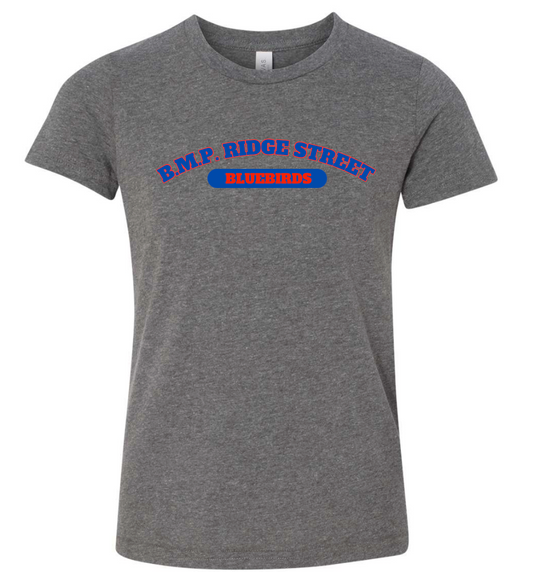 B.M.P. RIDGE STREET  BLUEBIRDS GREY TSHIRT